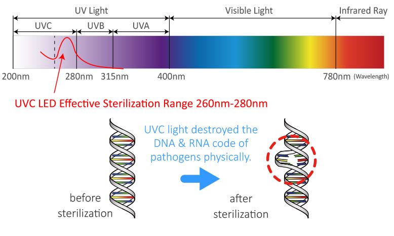 Технология UVC LED, которая представляет собой УФ-С-свет с длиной волны от 260 нм до 280 нм, повреждающий ДНК или РНК микроорганизмов, таких как бактерии/вирусы/клещи, и уничтожающий микробы в течение нескольких минут для достижения эффекта стерилизации для здоровья.